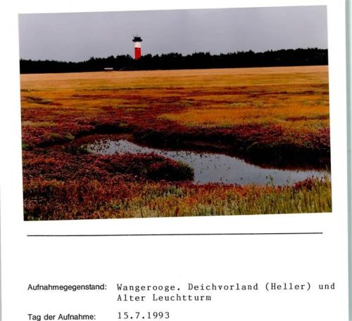Wangerooge Deichvorland Heller und Alter Leuchtturm Foto montiert auf Karton