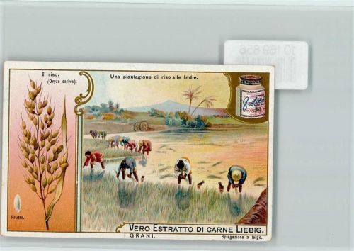 Vero Estratto Di Carne Liebig - Landwirtschaft