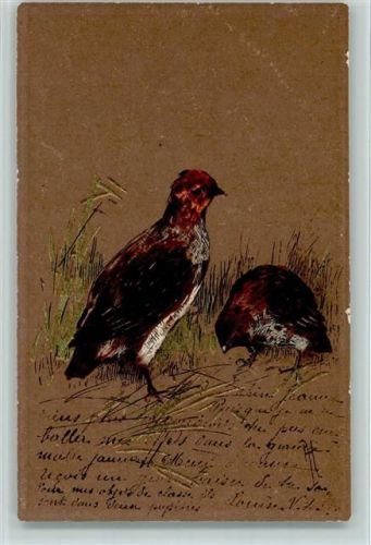 Serie 842 - Jagdtiere , Rebhühner AK Edgar Schmidt, Dresden 1904 Prägedruck