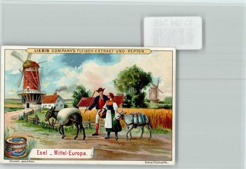 Sammelbild Liebig Esel , Mittel Europa