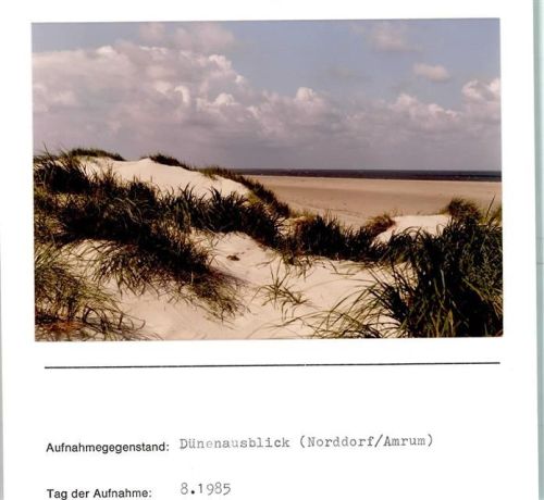 Norddorf Dünen Foto montiert auf Karton