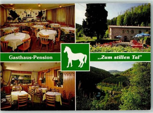 Elmstein Gasthaus Pension Zum stillen Tal Rückseite mit Abschürfungen bzw Kleberesten