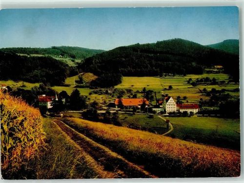 Neusatzeck Rückseite mit Abschürfungen bzw Kleberesten Dominikanerinnenkloster J. Bäder haus