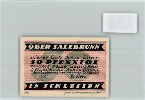 Bad Salzbrunn Notgeld Wald