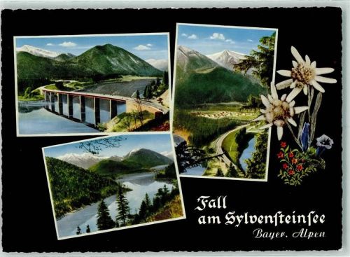 Fall Sylvensteinsee Edelweiss