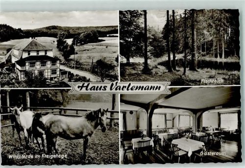 Hardehausen Rückseite mit Abschürfungen und Kleberesten Gasthaus Pension Haus Varlemann Fischteich Wildpferde im Freigehege