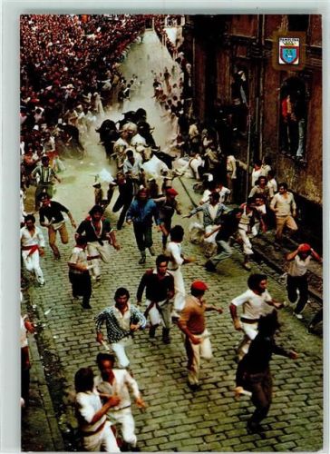 Pamplona Fiestas de San Fermin El Encierro