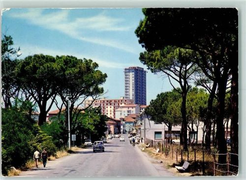 Follonica Senzuno Veduta dalla Pineta