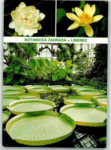 Liberec 1990 Botanicka Zahrada AK