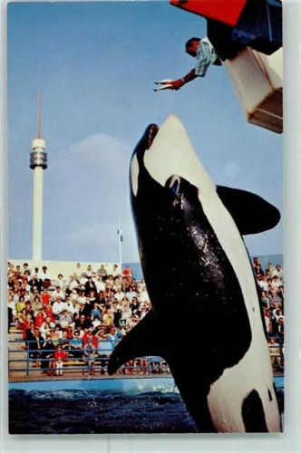 Freizeitpark Killer Whale Leap Marineland Wal