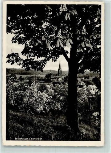 Leichlingen Baumblüte Kastanie