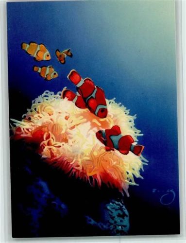 Seeanemone und Korallenfische - Künstlerkarte signiert AK