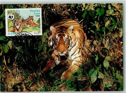Tiger - WWF Karte mit Briefmarke - Maximum Card AK