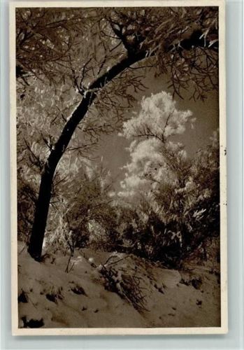 1915 Nr. 13 Winterlandschaft, Rauhreif - gute Erhaltung