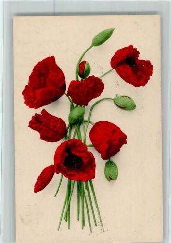1916 Nr. 530 - Mohnblumen AK