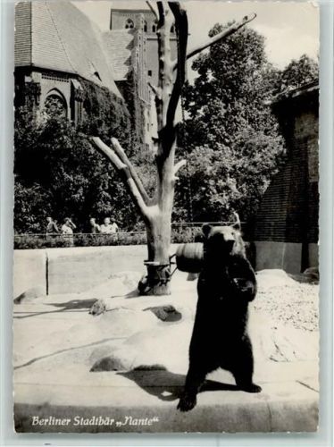 1957 Berliner Stadtbär Nante AK