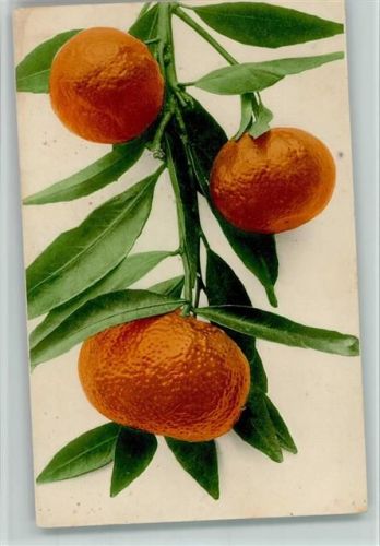 nr. 712 Mandarinen - Früchte AK
