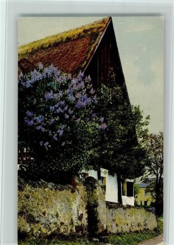 1910 Nr. 2186 Haus mit Fliederbusch AK