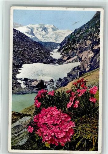 Alpenblumen Gletschernelke - Photochromie