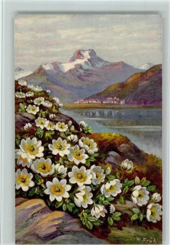 Alpenblumen - Nr. 575 Verlag Gebr. Zürcher AK
