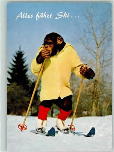 1980 Affe mit Ski AK