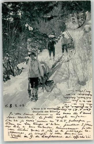 Lausanne Losanna L`Hiver a la montagne , Descente des Billons - Holztransport mit Hornschlitten Verlag J.J. 3057 Forstwirtschaft 1902