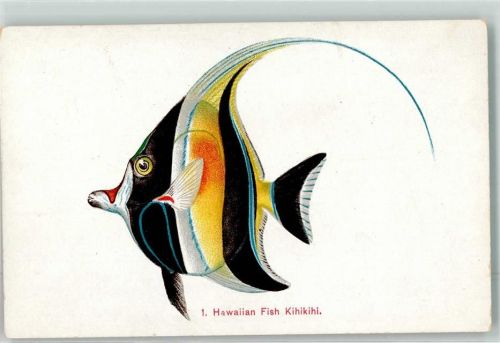 Honolulu Hawaii Kihikihi Fisch Ort lt. Verlag