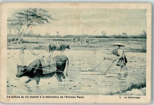 Nr. 1 Landwirtschaft in China Le labourage Reisfeld pflügen