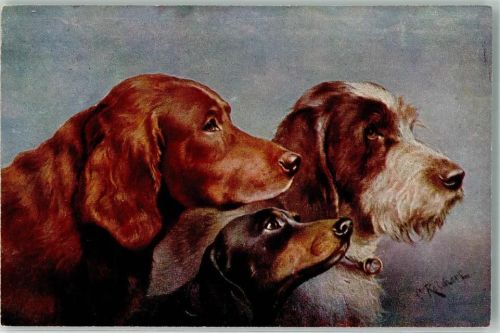 Irish Setter, Dackel und Griffon sign. Reichert Verlag TSN Serie 1233 Rückseite : Werbung Pharma Zyma gegen Hundestaupe