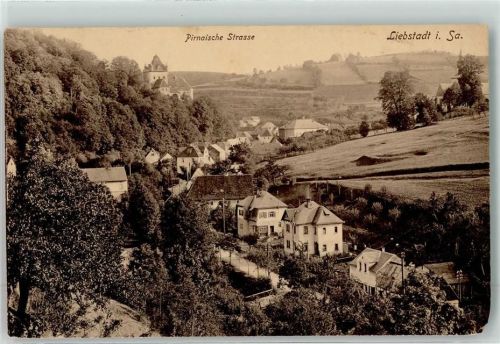 01825 O8301 Liebstadt 1918 Gebrauchsspuren Pirnaische Straße mit Schloss Kuckuckstein