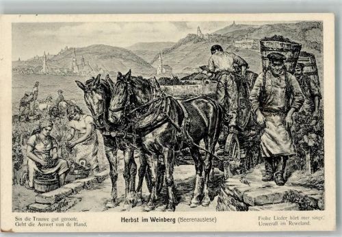 1949 Nr. 8 Herbst im Weinberg Auslese sign. Strieffler