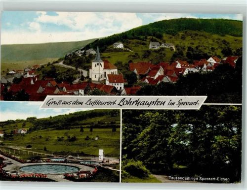 Lohrhaupten 3-Bildaufnahme Tausendjährige Spessart-Eichen