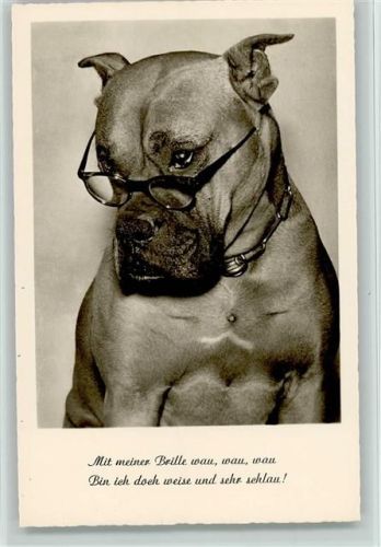 Humor -Nr. 70833 Boxer mit einer Brille Foto AK