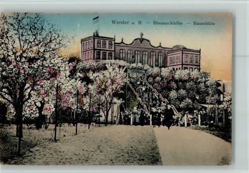 Werder Bismarckhöhe Baumblüte