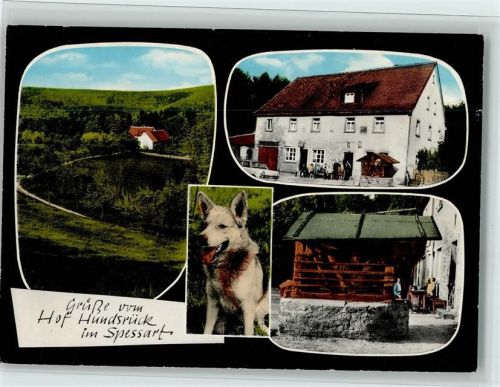 Eschau Gasthaus Pension Hof Hundsrück Schäferhund 4-Bildaufnahme