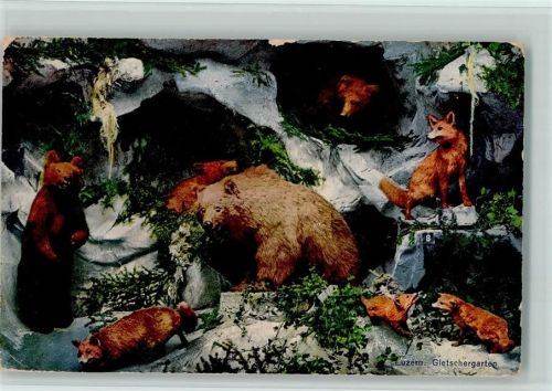 Luzern 1923 Gletschergarten - Bären und Fuchs - Gruppe aus dem Alpentier Museum