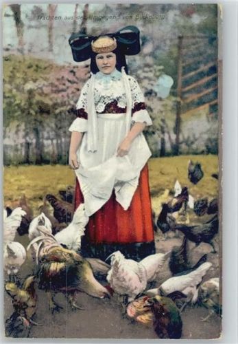 Bückeburg 1908 AK Geflügel -