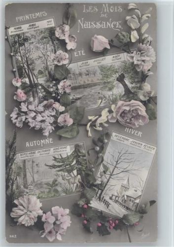 1911 Belgien - Foto AK Blumen