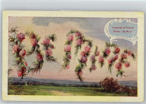 Language of Flowers - Clover "Be Mine Blumensprache