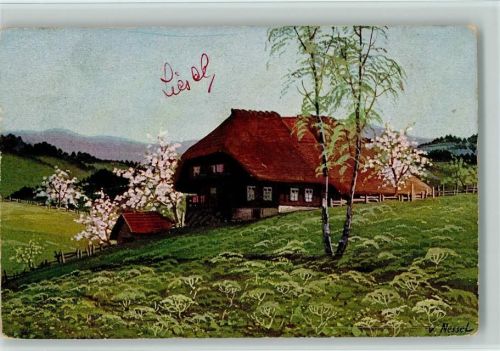 Schwarzwaldhäuser , Moos Serie V Nr. 7 AK