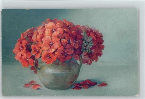 1916 Meissner & Buch Serie 2198 - Blumen im Topf -