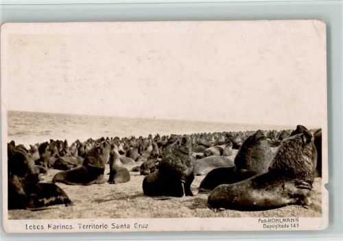 Santa Cruz - Robbenbank 1925 AK