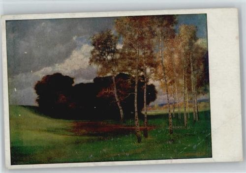 Birken im Moor