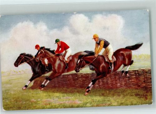 Tucks Serie II - The last Hurdle Nr. 9509 AK