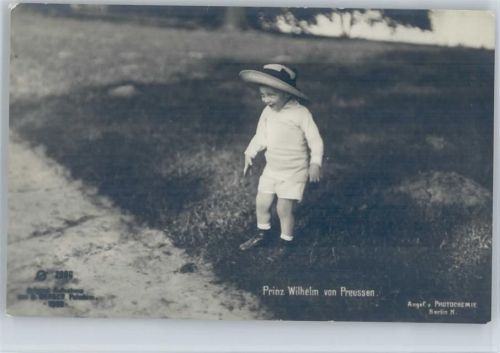 Prinz Wilhelm Photochemie Nr. 2086 AK