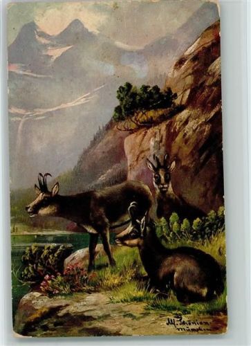 Jagdtiere, Gemsen 1909 AK