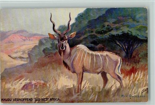 Tucks Serie Tiere aus Südwestafrika Nr. 946 - Khudu