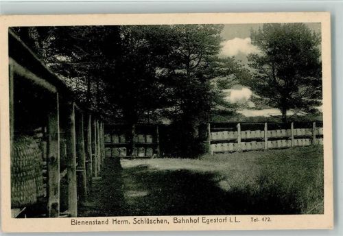Egestorf Viele Klrbe - Bienenstand Herm. Schlüschen Egestorf ca 1926 AK