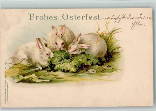 Drei weiße Kaninchen fressen Salatblätter - Ostern Litho 1899 AK