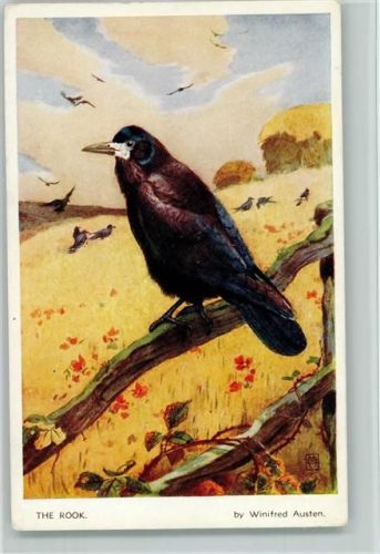 The Rook - sign Winifred Austen 1949 AK